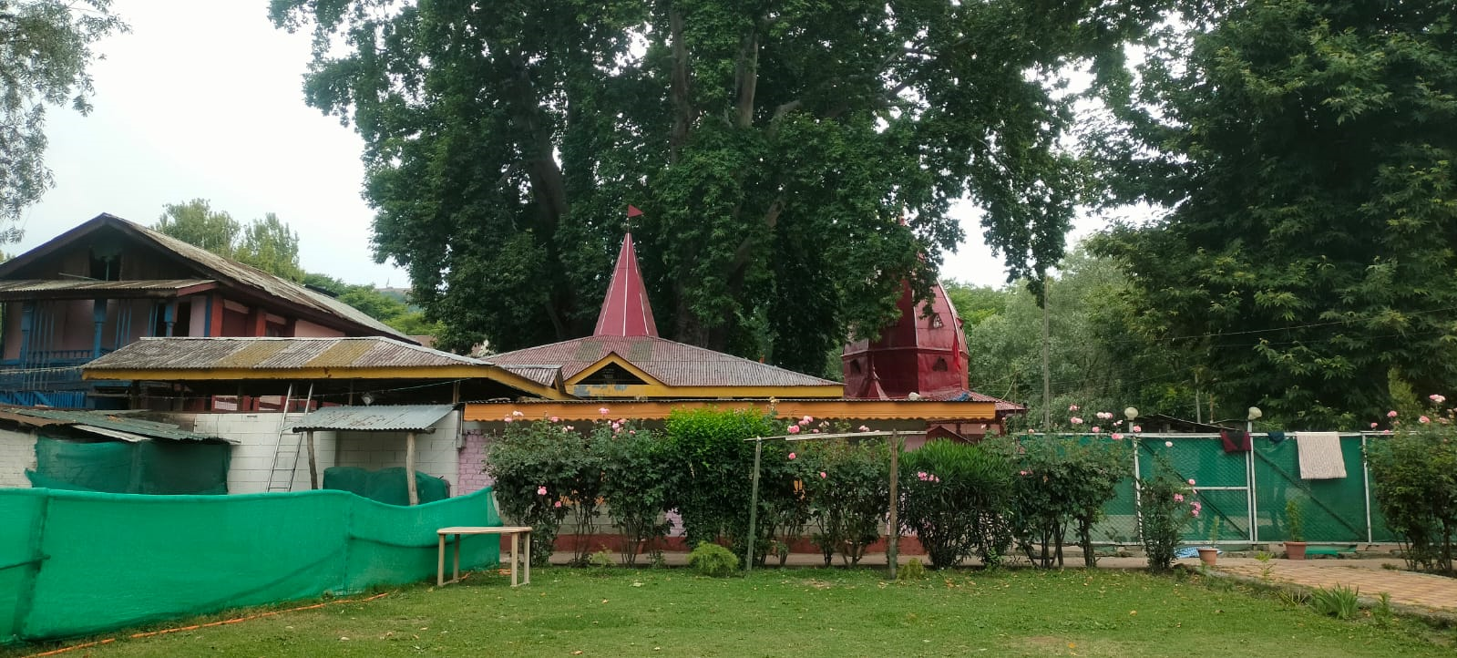 ./image_1771586477846